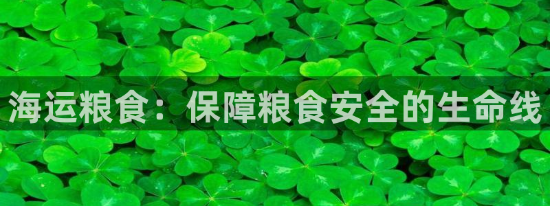 公海赌赌船官网真的