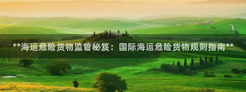 公海赌船吧