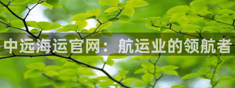 欢迎来到海牛星简谱