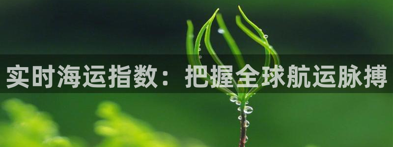 公海赌赌船官网是真的吗