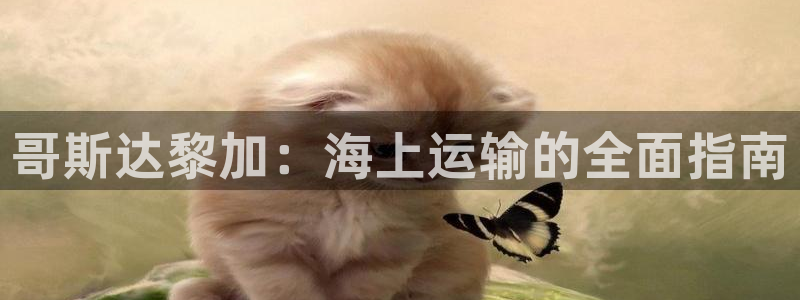 公海赌赌船官网